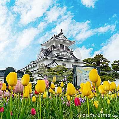 Toyama Castle in toyama prefecture Editorial Stock Photo