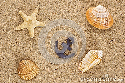 Toylike anchor and seashells Stock Photo