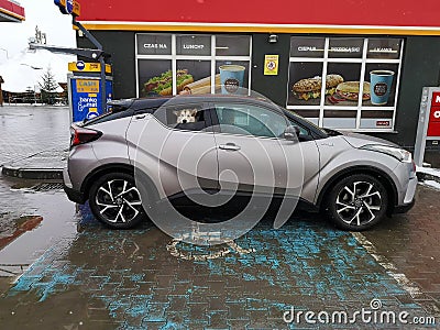 Toyota CHR driver breaking the rules Editorial Stock Photo