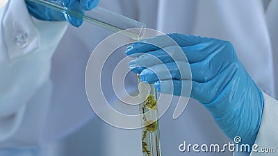 Trabajador del laboratorio de la cosmetología que añade el líquido estéril al extracto de la flor metrajes Trabajador del laboratorio de la cosmetología que añade el líquido estéril al extracto de la flor metrajes