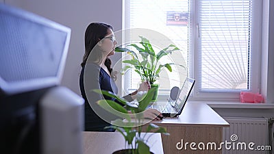 Trabaje en Internet, mujer joven con el ordenador portátil en el trabajo cerca de ventana y las plantas interiores almacen de video Trabaje en Internet, mujer joven con el ordenador portátil en el trabajo cerca de ventana y las plantas interiores almacen de video