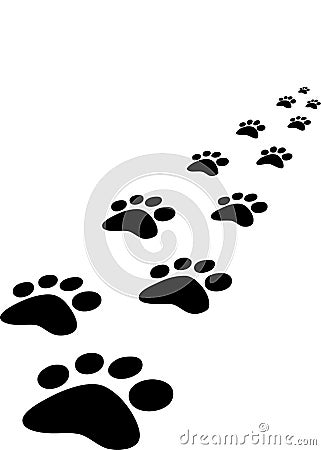 Trace of dogs Vector Illustration