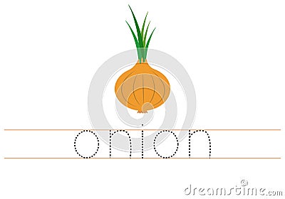 Trace word onion. English worksheet for kids. Cartoon colorful onion. Vector Illustration