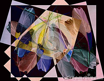A tracery of colorful bird feathers is set against a pink-lilac-black background. Abstract fantasy. Stock Photo