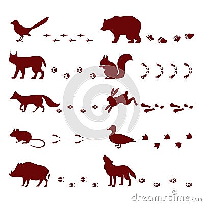 Traces of animals foot steps set contour silhouette footprint wild nature mascot vector illustration Vector Illustration