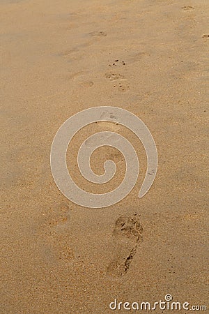 Traces of bare feet on the sand beach Stock Photo