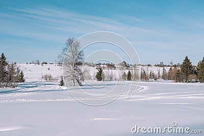 Traces of snowman in the forest. Snowmobile ride. On a snowmobile in the forest. Winter landscape Stock Photo