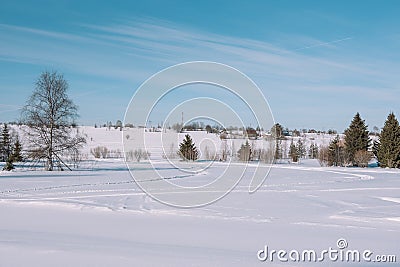 Traces of snowman in the forest. Snowmobile ride. On a snowmobile in the forest. Winter landscape Stock Photo