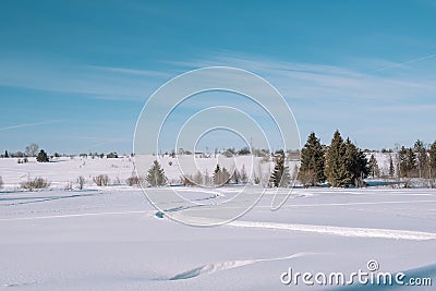 Traces of snowman in the forest. Snowmobile ride. On a snowmobile in the forest. Winter landscape Stock Photo