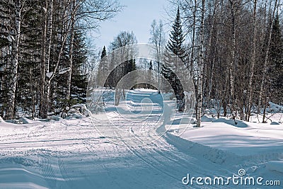Traces of snowman in the forest. Snowmobile ride. On a snowmobile in the forest. Winter landscape Stock Photo