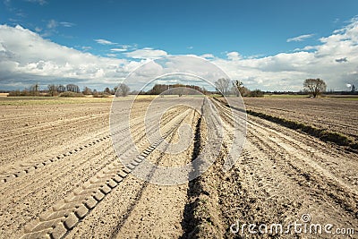 Traces of tractor wheels on a plowed field, dirt road, horizon and clouds on a blue sky Stock Photo