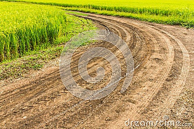 Traces wheel Stock Photo