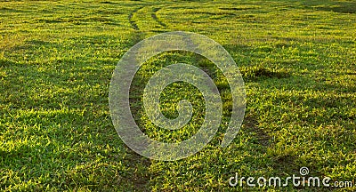 Traces wheel vehicle in a meadow Stock Photo