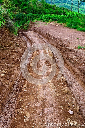 Traces wheel of vehicle in paddy soil Stock Photo