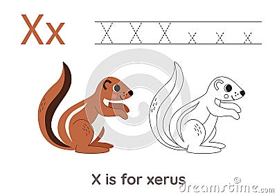 Tracing alphabet letters with cute animals. Color cute xerus. Trace letter X. Vector Illustration