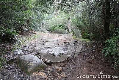 Track Down to the Mount Paris Dam Wall on the Cascade River Stock Photo