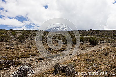 Track on Kilimanjaro on the Machame Route Whiskey Stock Photo
