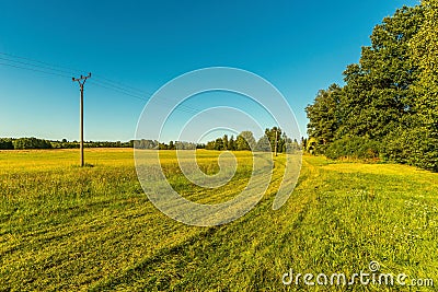 Track on the meadow next to electric pillars Stock Photo