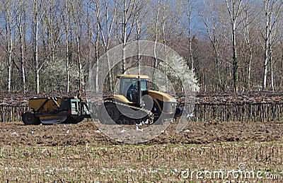 Track tractor with a trailer on a plowed field next to vineyards in the early springtime Stock Photo
