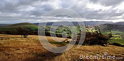 Track and Tree on Great Mell Stock Photo