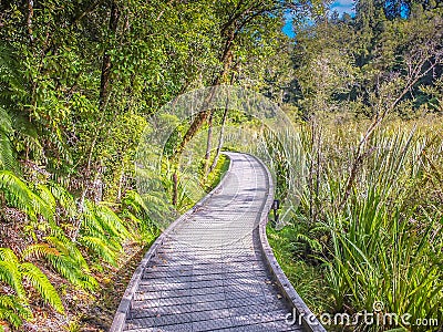 Tracking Pathway Stock Photo