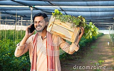 tracking shot happy farmer talking on mobile phone while carrying basket of vegetables at greenhouse - concept of small Stock Photo