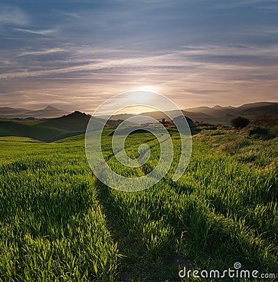 Tracks Crossing A Green Field In Misty Sunset Stock Photo