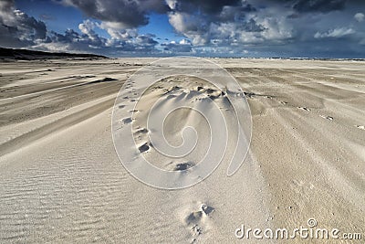 Tracks on sand beach on windy day Stock Photo