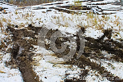 Tracks from a truck that was stuck in the muskeg Stock Photo