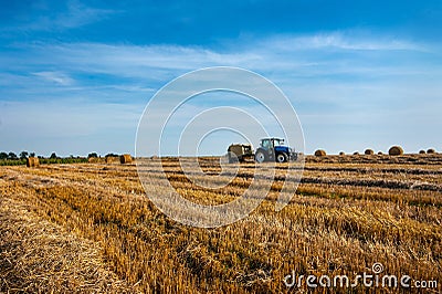 tractor with a baler in the field collects straw in bales, Stock Photo