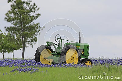 Tractor in bluebonnets Editorial Stock Photo