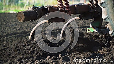 The tractor cultivates and cuts furrows in the field. Tractor work in the black soil field in the village Stock Photo