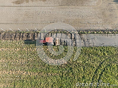 Tractor cultivating land with a rotary tiller to prepare land for next rice planting Stock Photo