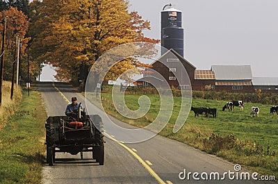 Tractor on farm road with barn and silo in background in autumn, VT Editorial Stock Photo