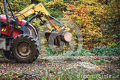 Tractor with grapple in forest. Lumber industry Stock Photo