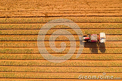 Tractor hauling a Two disc Fertilizer spreader in a large field Stock Photo