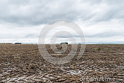Tractor marks and mud at a wet acre, Bavaria, Germany Stock Photo