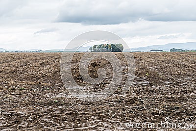 Tractor marks and mud at a wet acre, Bavaria, Germany Stock Photo