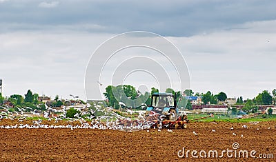 The tractor ploughs an agricultural field Stock Photo