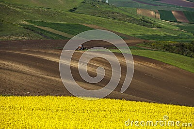 A tractor plow soil in spring and an golden field of flowering r Stock Photo