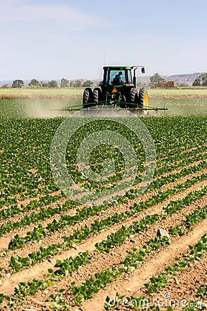 Tractor plowing Editorial Stock Photo