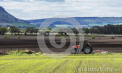 Tractor Plowing Field Stock Photo