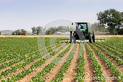 Tractor plowing the fields Stock Photo