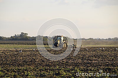 Tractor plowing plow the field. Tilling the soil in the fall after harvest. The end of the season Stock Photo