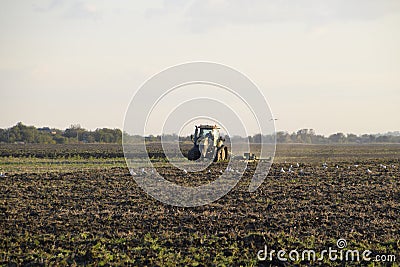 Tractor plowing plow the field. Tilling the soil in the fall after harvest. The end of the season Stock Photo