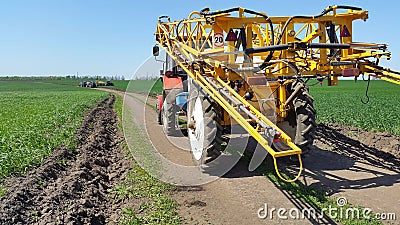 the tractor on the road among fields of green wheat Stock Photo