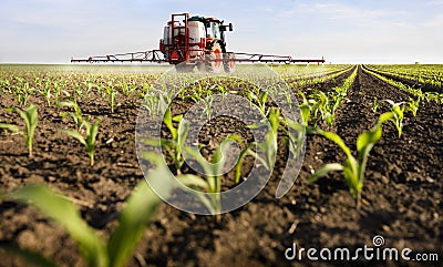 Tractor spraying corn field Stock Photo