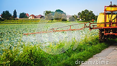 Tractor spraying pesticides on cabbage field Stock Photo