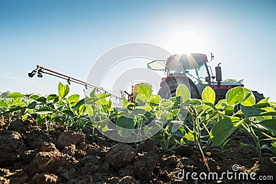 Tractor spraying soybean crops with pesticides and herbicides. Stock Photo