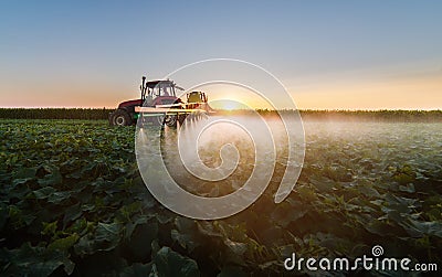 Tractor spraying soybean field Stock Photo